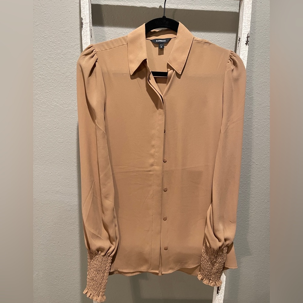 Express sheer collared top